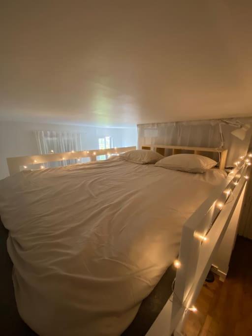 Appartement De Charme Pres Du Stade De France 圣但尼 外观 照片